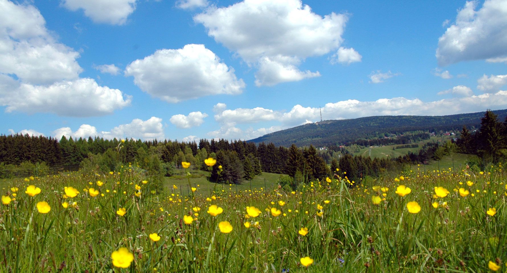 Unsere Angebote
